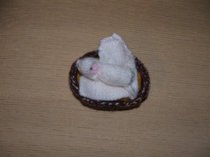 DSCF2590