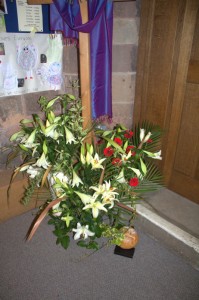 IMG 4630