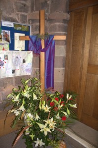 IMG 4631